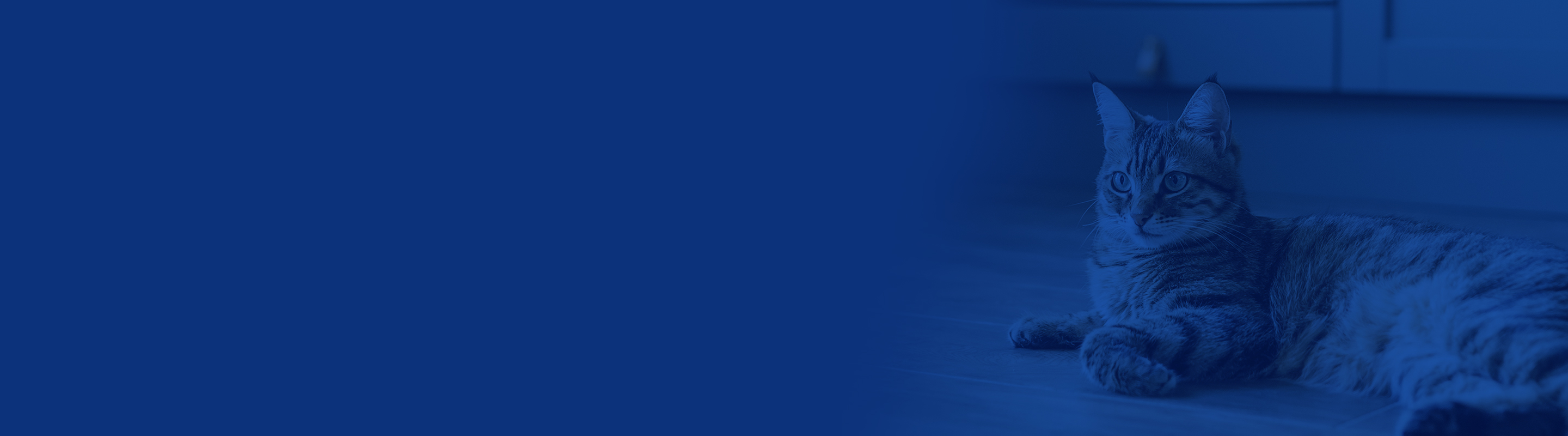 Contact Block Background